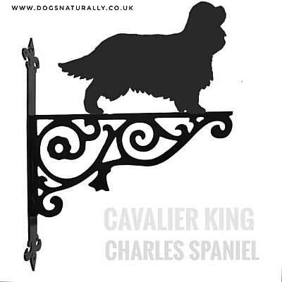 Cavalier King Charles Ornate Wall Bracket